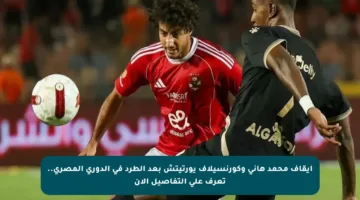 إيقاف محمد هاني وكورنسيلاف يورتيتش بعد الطرد في الدوري المصري.. تعرف على التفاصيل الآن
